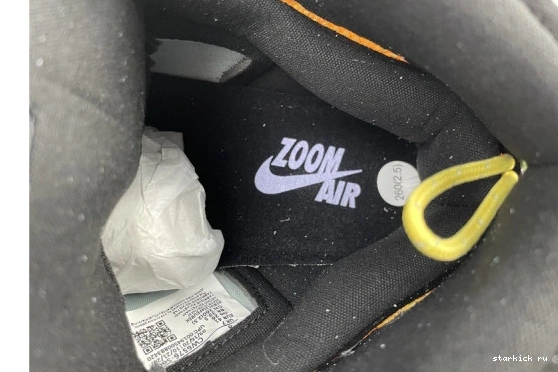 1 Air Jordan Pulse CW6576-500 Purple Switch High CW6576-500 1108